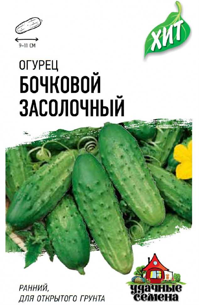 Засолка