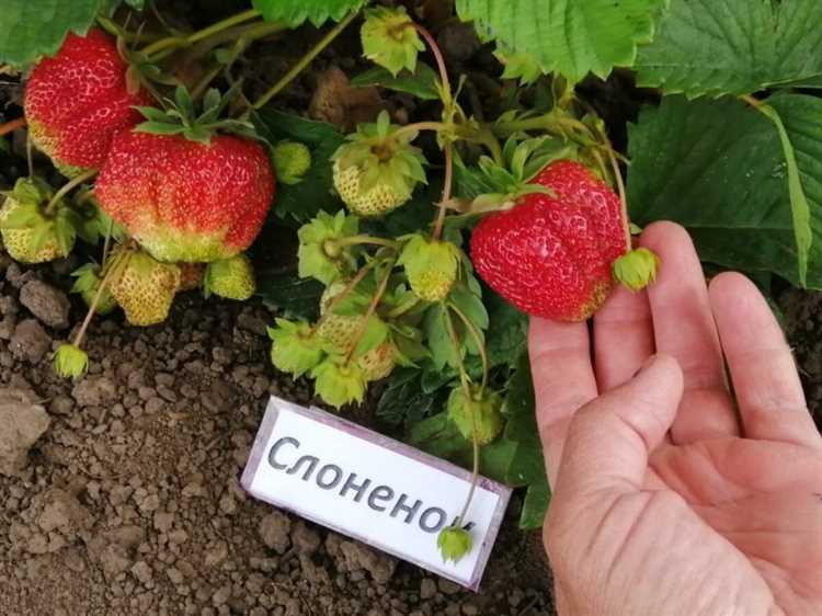 Уход