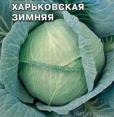 Какие